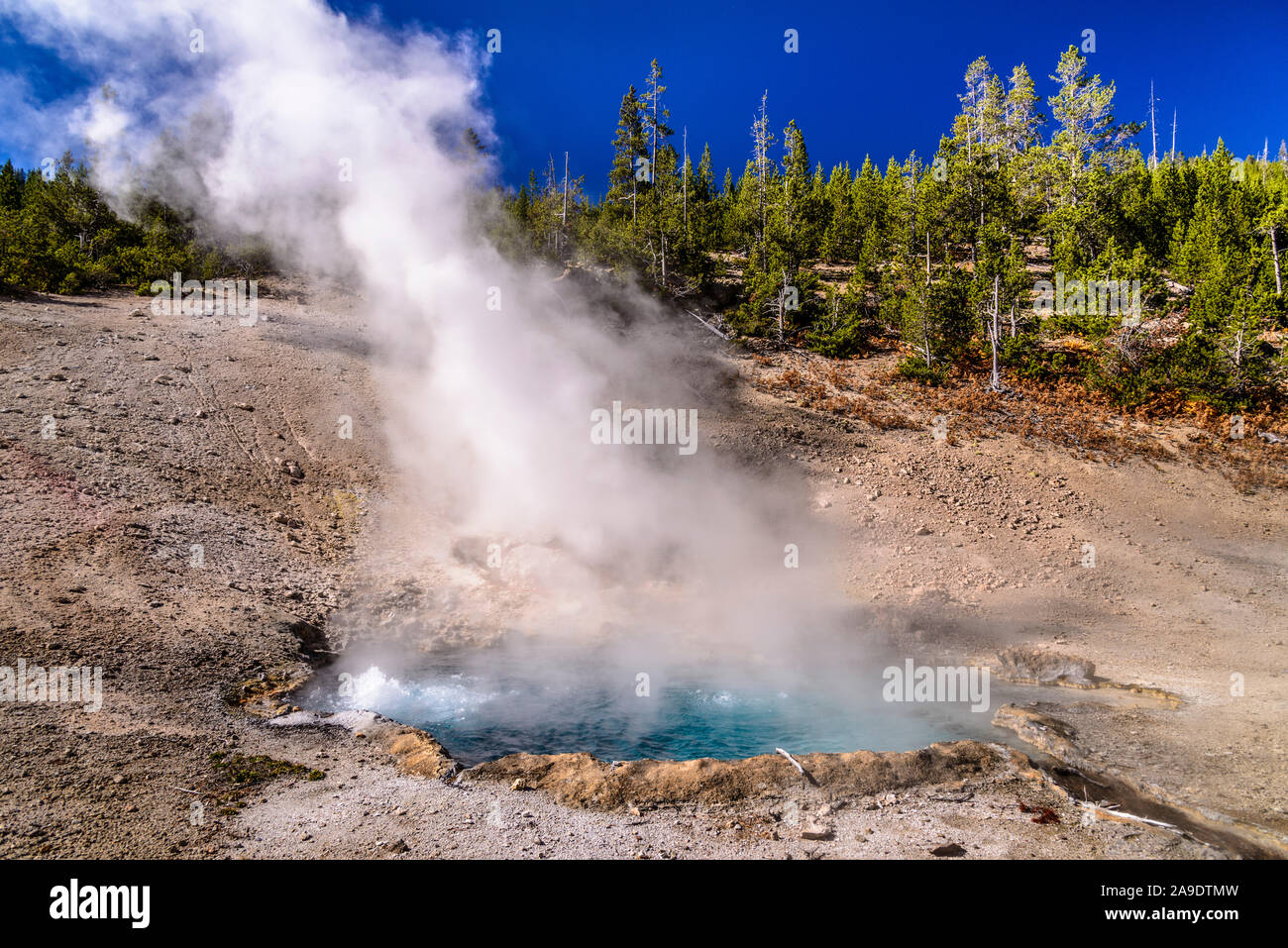 USA, Wyoming, Yellowstone National Park, Norris, Gibbon River Valley, Beryl Feder Stockfoto