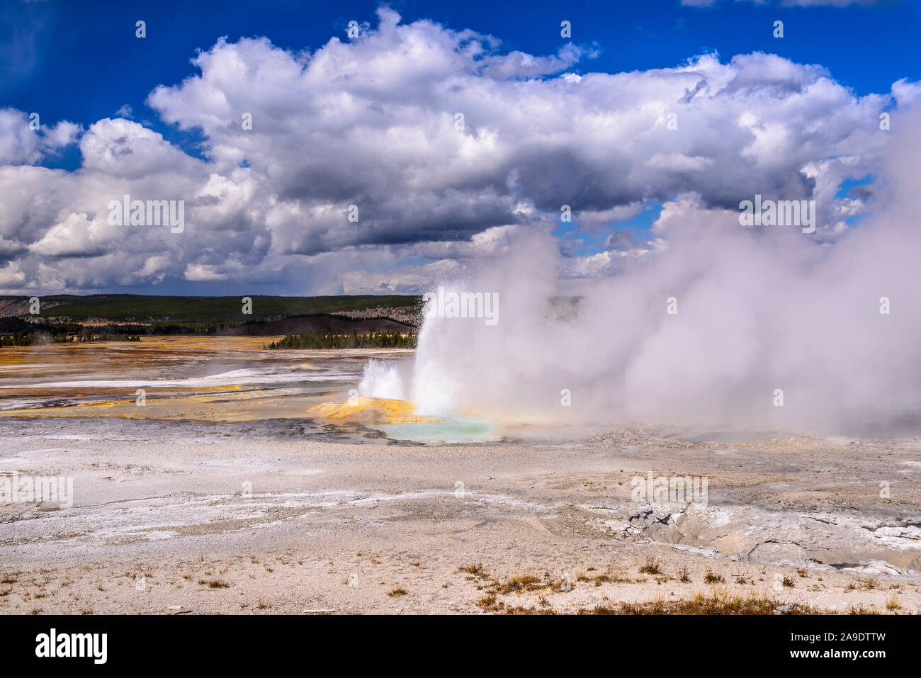 USA, Wyoming, Yellowstone National Park, Lower Geyser Basin, Fountain Paint Pot Trail, Fountain Geysir Stockfoto