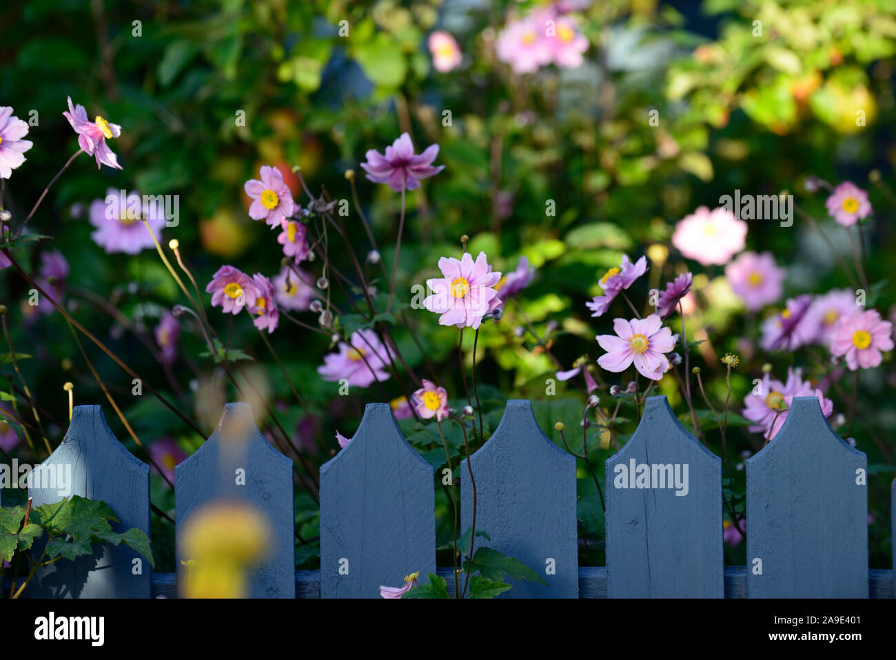 Gartenzaun herbst Fotos und Bildmaterial in hoher Auflösung Alamy