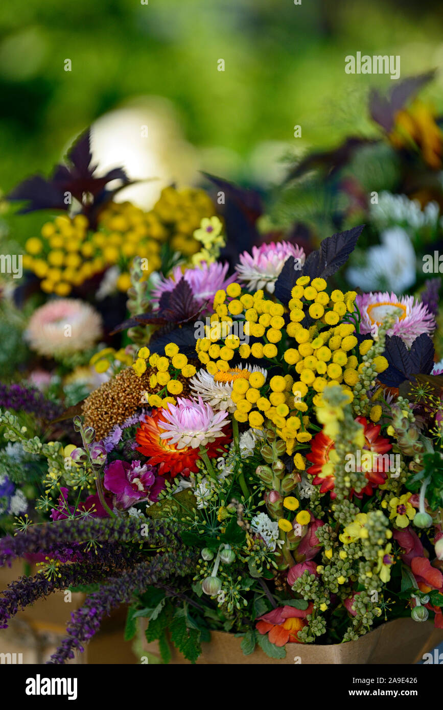 Schnittblume, Schnittblumen, Display, Displays, Arrangement, Arrangements, Sommerblumen, Stauden, Mix, Gemischt, frische Blumen, Gärten, Vase, Becher, Vasen, Krüge, RM Florals Stockfoto