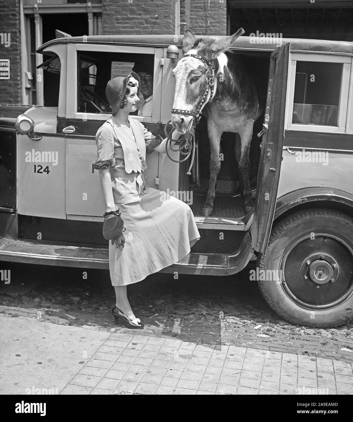 Frau mit Esel im Auto ca. 1931 Stockfoto