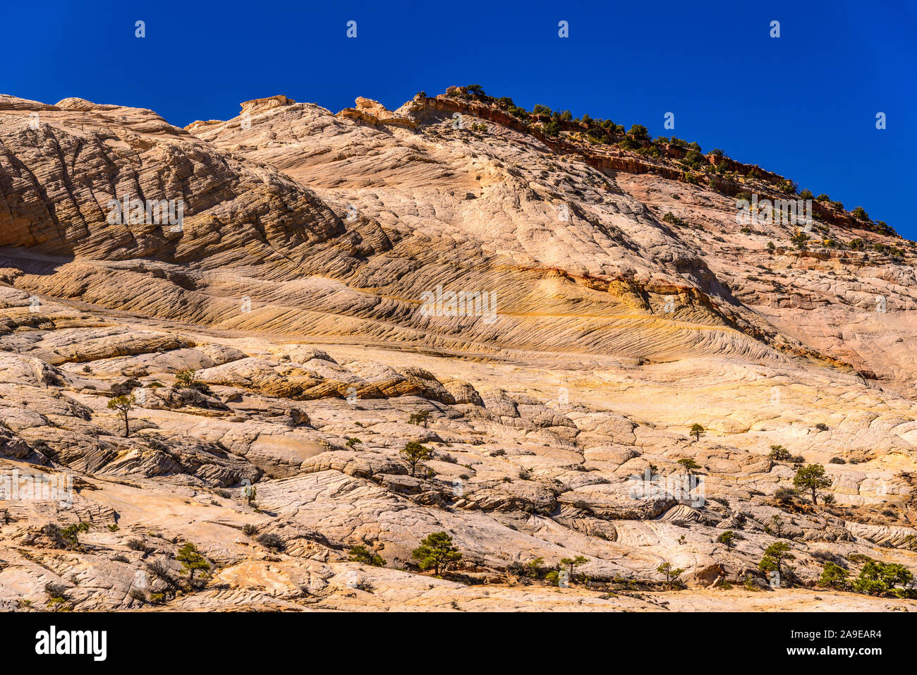 Die USA, Utah, Garfield County, Grand Staircase-Escalante allgemein Denkmal, Boulder, Landschaften der Burr Trail in der Nähe Boulder Stockfoto