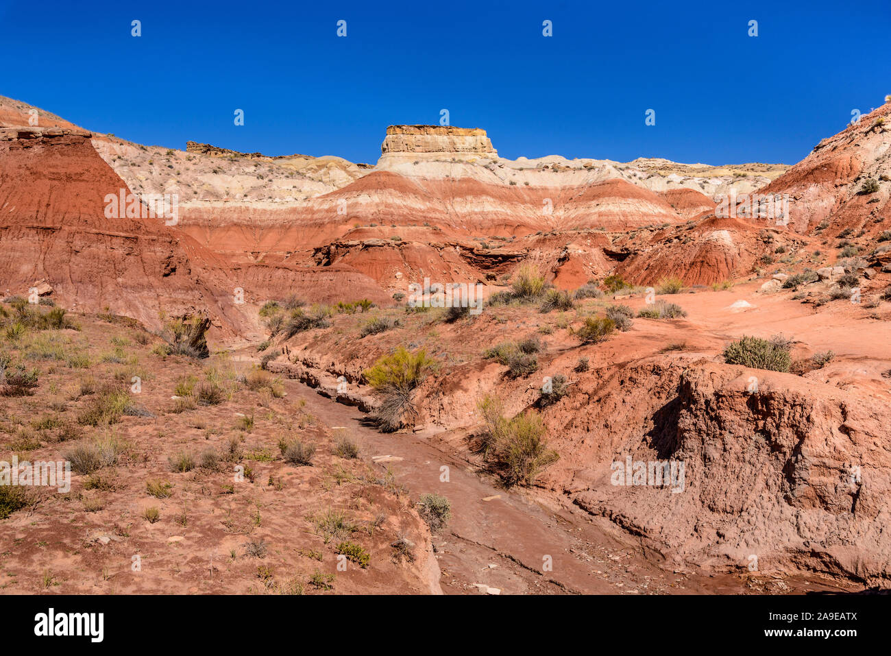 Die USA, Utah, Kane County, Kanab, paria Rimrocks, fliegenpilze Trail Stockfoto