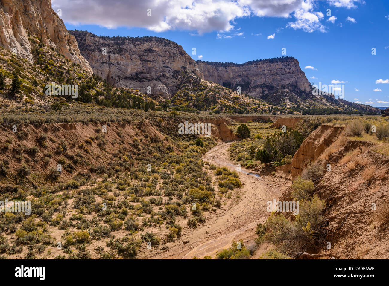 Die USA, Utah, Kane County, Kanab, Johnson Canyon, Swapp Canyon Stockfoto