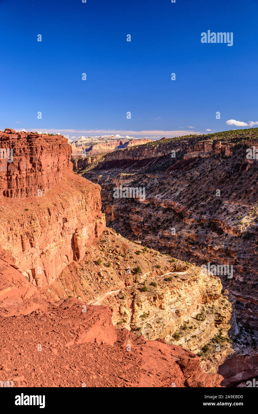 Die USA, Utah, Wayne County, Torrey Capitol Reef allgemein Park, Sulphur Creek Canyon, Schwanenhälse übersehen Stockfoto