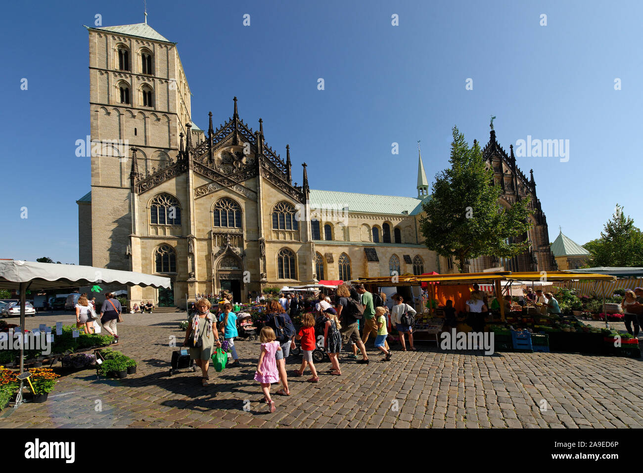 Kathedrale der hl. Paulus auf dem Domplatz mit dem Wochenmarkt, Münster, Münsterland, Nordrhein-Westfalen, Deutschland Stockfoto