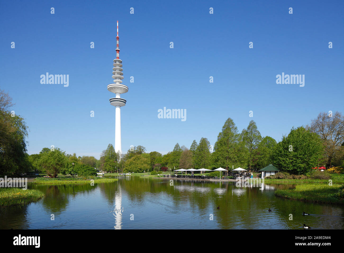 Park Teich in den großen Wall mit Fernsehturm, Hamburg, Deutschland, Europa Stockfoto