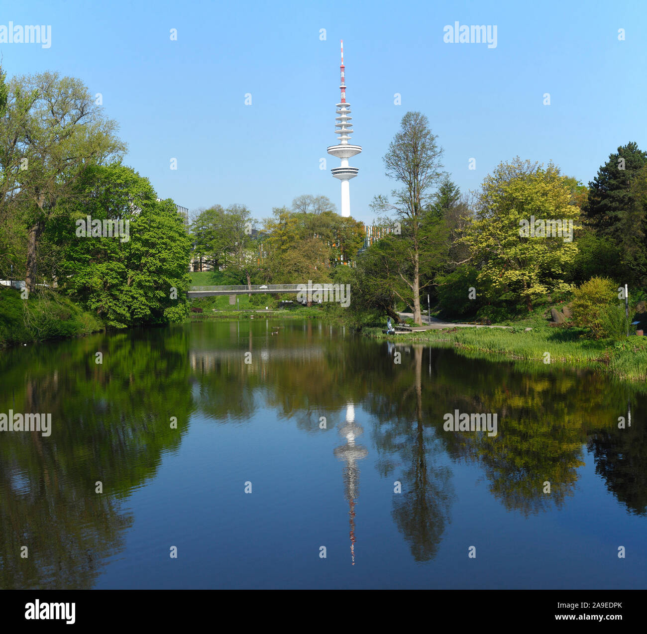 Park Teich in den großen Damm mit Fernsehturm, Hamburg, Deutschland