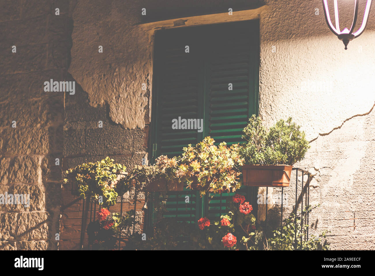 Nacht - geschlossenen Fensterläden mit Blumen vorne, Szene von Ostuni, Apulien, Italien, Stockfoto
