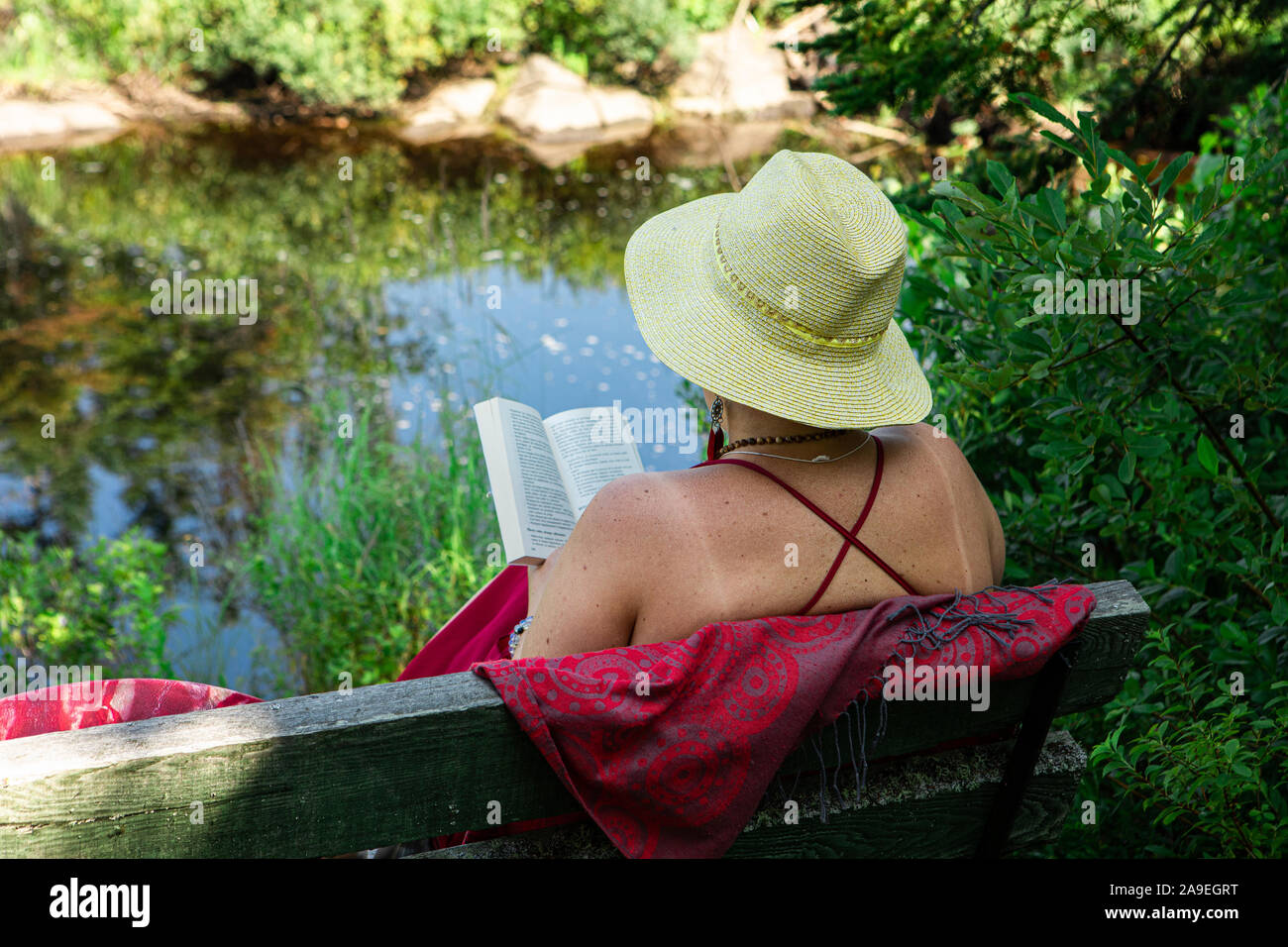Alte Frau ist von hinten gesehen, wie Sie sich mit einem Buch in der wunderschönen Natur, trug einen Sommer Hut und genießen einen schönen sonnigen Tag am Fluss Stockfoto