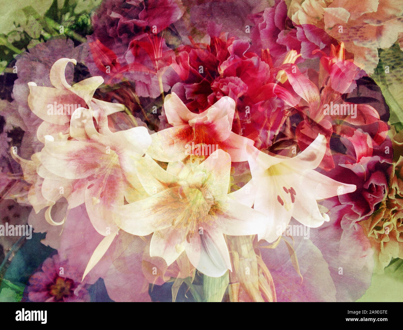 Komponieren, verschiedene Blumen, close-up Stockfoto