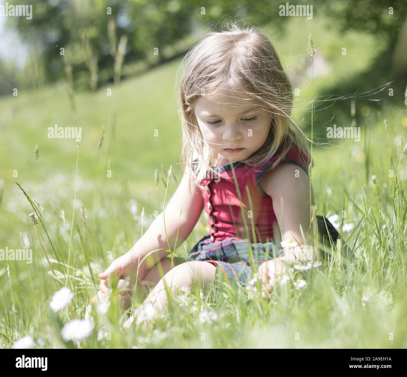Kind im Gras Blumen pflücken Stockfoto