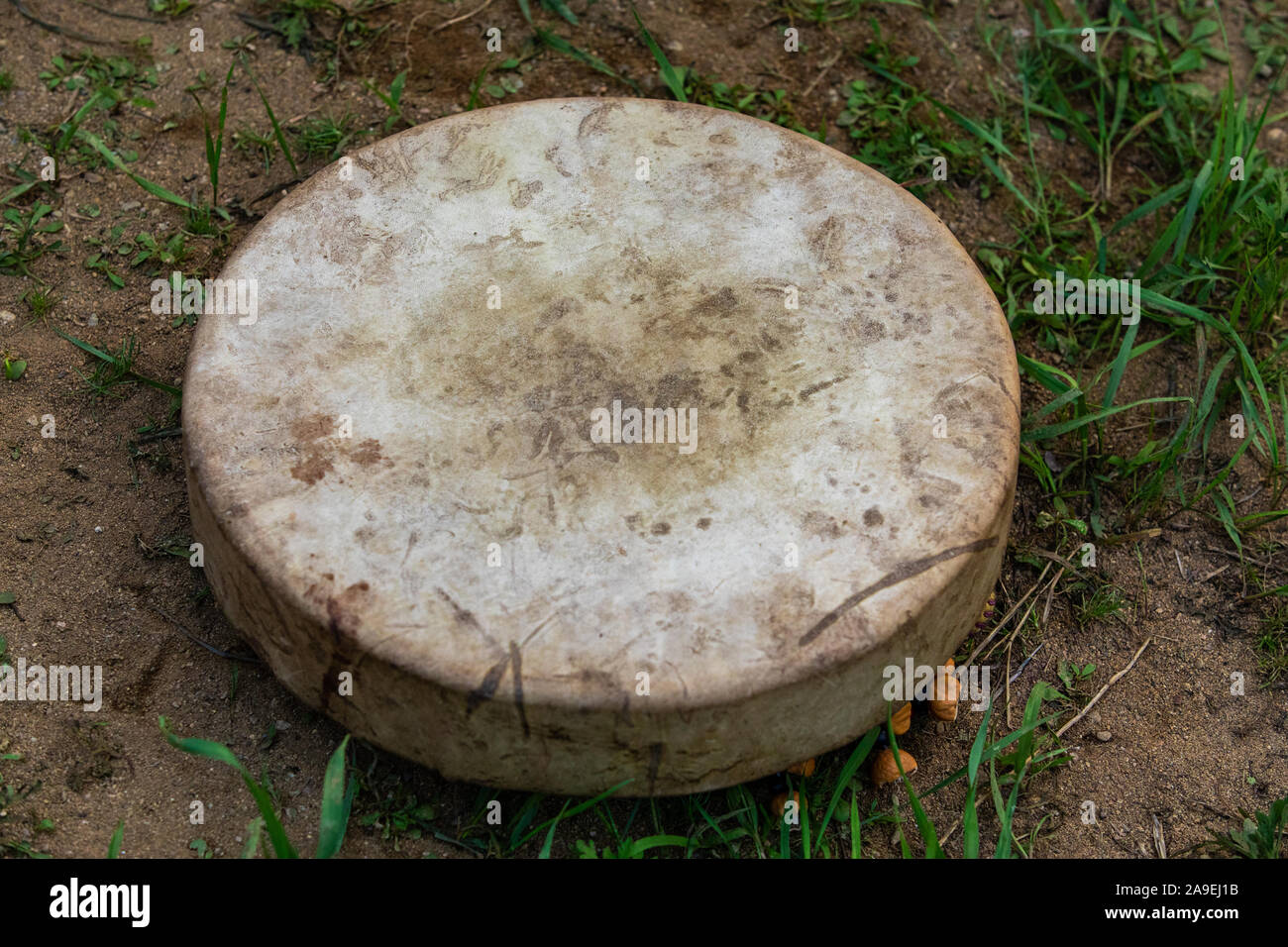 In der Nähe von Heiligen auf dem Boden draussen im Wald drum, spirituelle Schamanische traditionellen einheimischen Musik Instrument Stockfoto