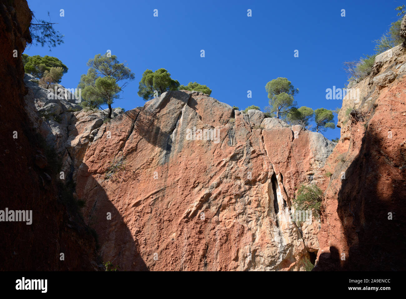 Ehemalige oder verlassenen Steinbruch & Sandstein Felsen Mont Sainte - Victoire Mountain Nature Reserve in der Nähe von Aix-en-Provence Provence Frankreich Stockfoto