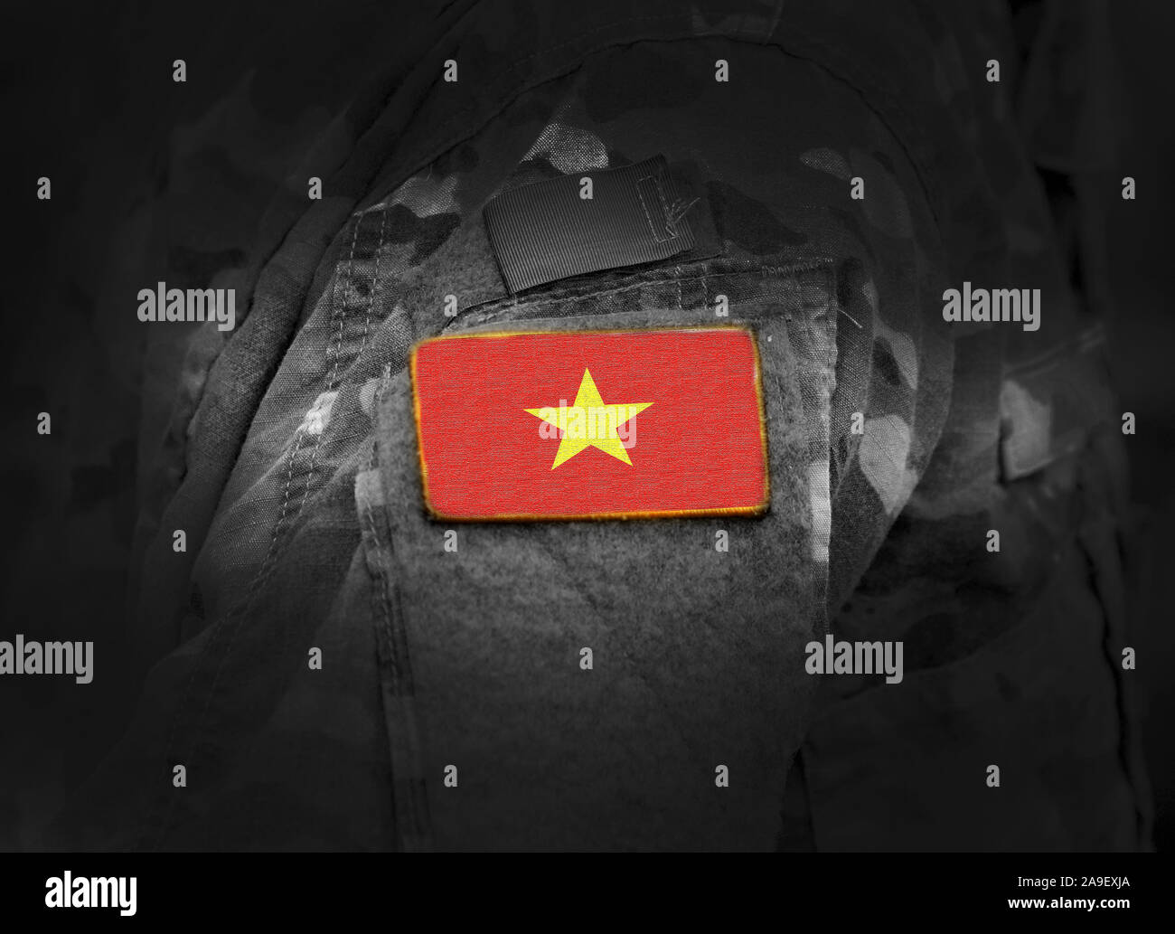 Flagge von Vietnam auf der Uniform. Armee, Soldaten, Soldaten. Collage. Stockfoto