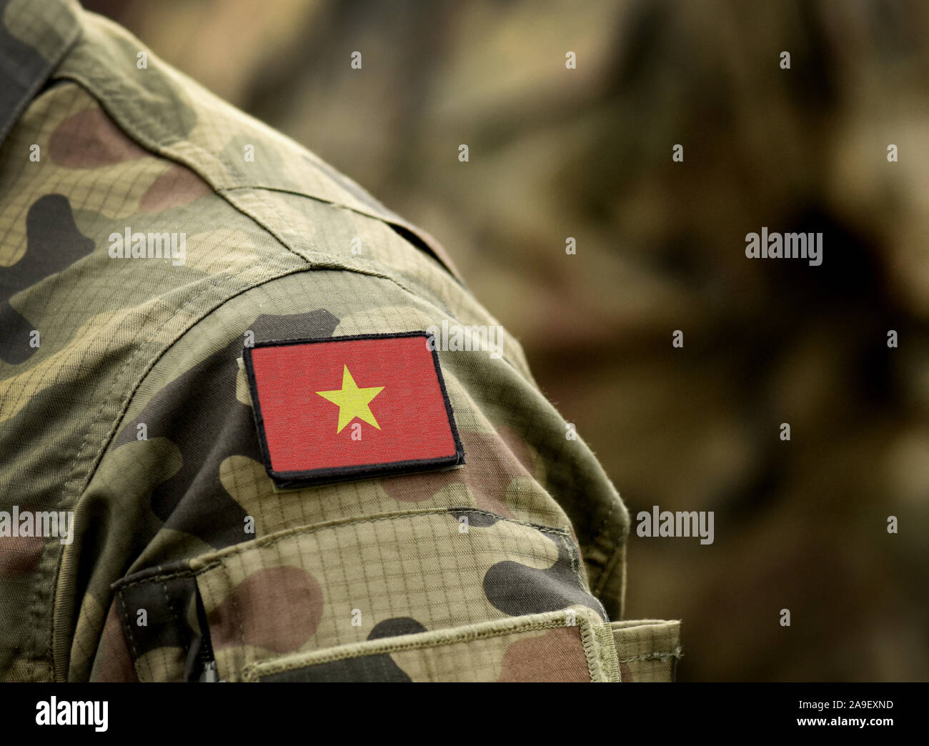 Flagge von Vietnam auf der Uniform. Armee, Soldaten, Soldaten. Collage. Stockfoto