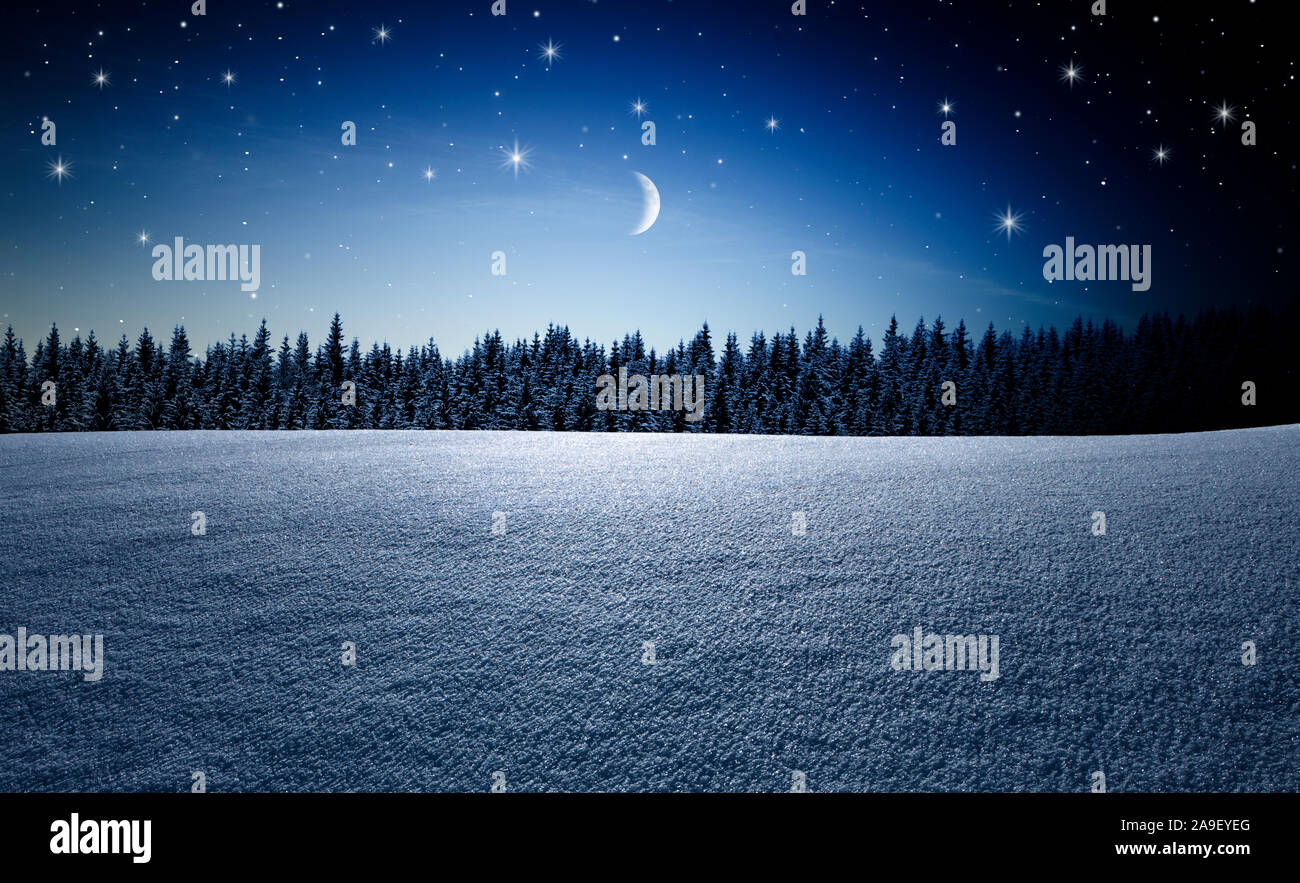 Mondhelle Nacht im winter Stockfoto