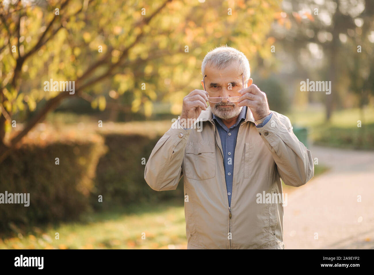 Stattliche bearder älterer Mann mit Brille. Grauhaariger alter Mann im Park Stockfoto