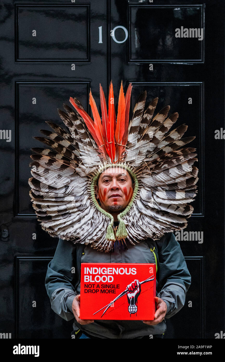 London, Großbritannien. 15 Nov, 2019. Die von Greenpeace, 4 indigenen Führern aus ganz Brasilien Hand in Ihrer eigenen Schreiben und 200.000 - starke Petition an der Downing Street unterstützt, in dem die britische Regierung den Handelsgesprächen mit Brasilien auszusetzen, bis der Amazonas und seine Menschen geschützt sind Credit: Guy Bell/Alamy leben Nachrichten Stockfoto