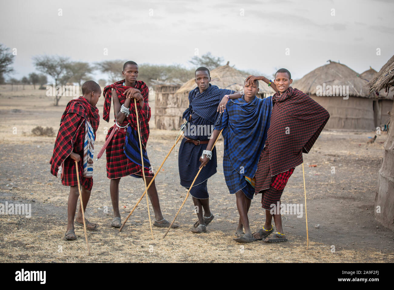 Arusha, Tansania, 9. September 2019: Masai Jungen in eine Landschaft von tansanischen Savannah Stockfoto