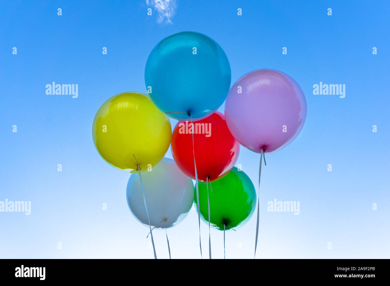 Helle Ballons gegen den klaren, blauen Himmel im Hintergrund Stockfoto