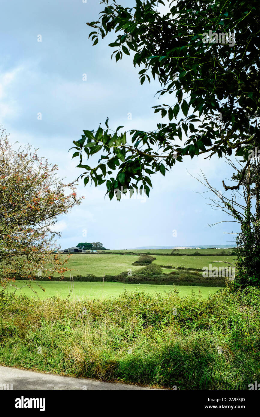 Bauernhof Felder in der Landschaft von Cornwall. Stockfoto