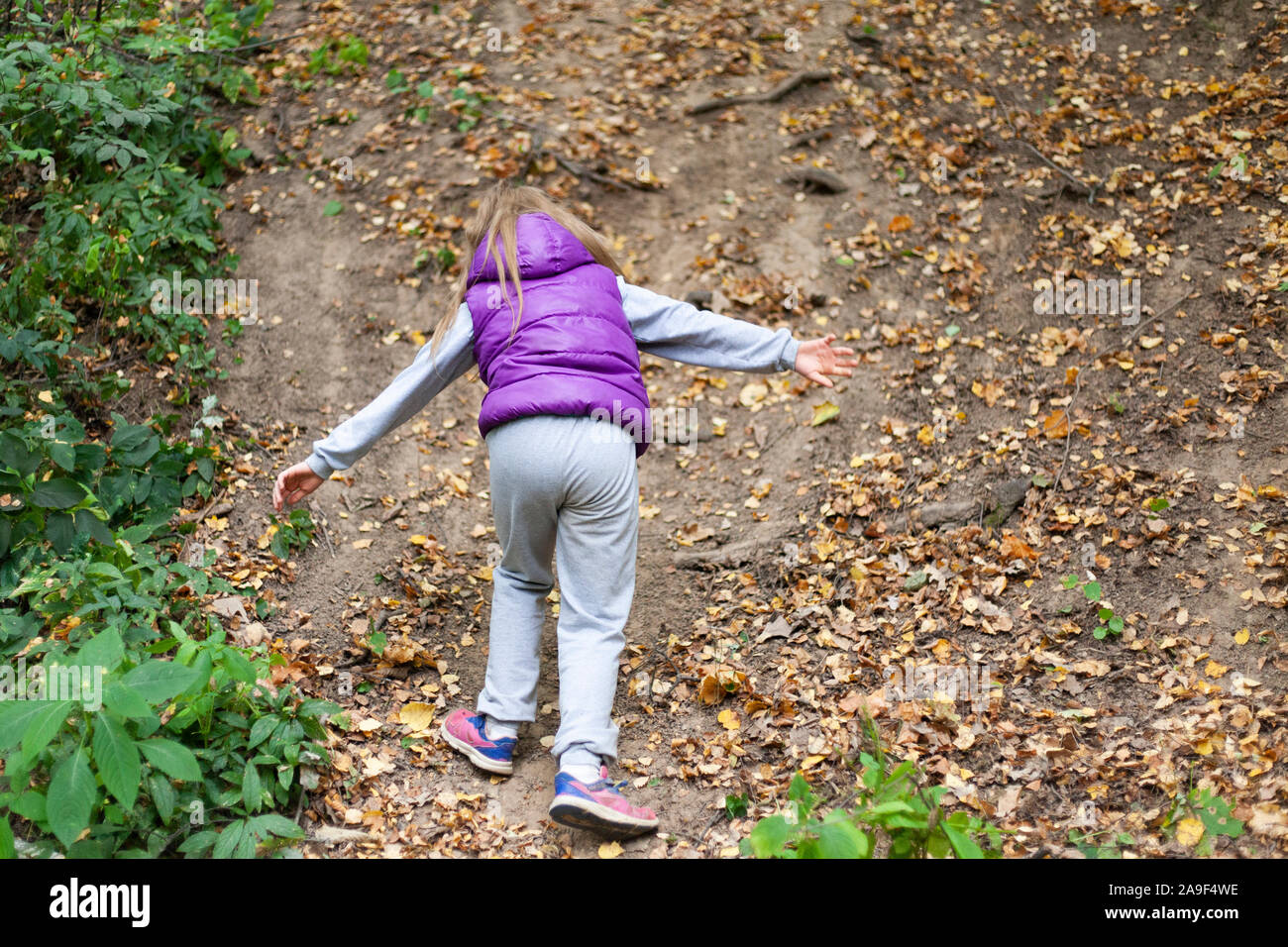 Unbeaufsichtigter wald Fotos und Bildmaterial in hoher Auflösung Alamy