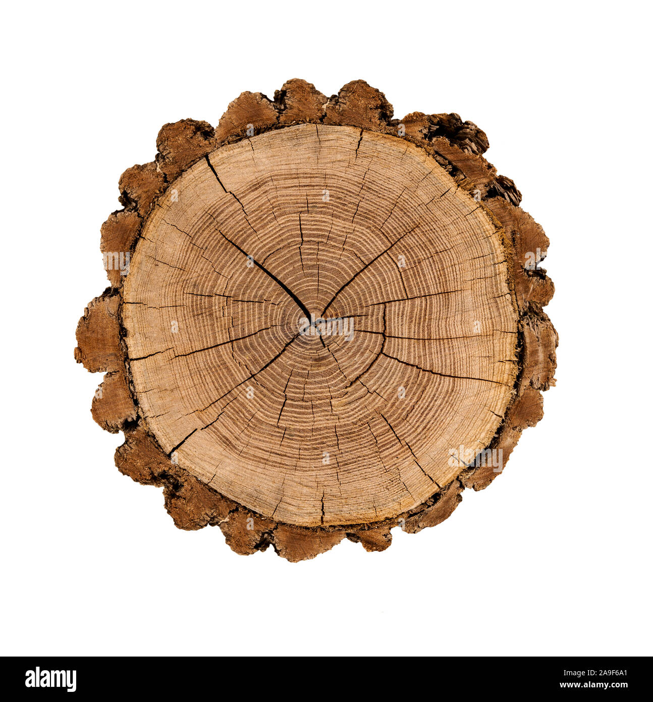 Holz- Disc Stockfoto