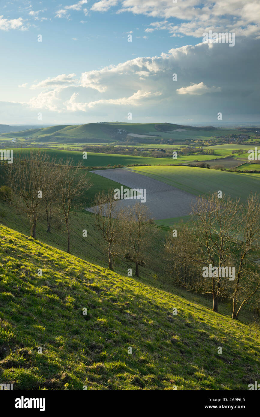 Das Sonnenlicht, das auf den Hügeln oberhalb von firle in der South Downs National Park. Firle, East Sussex, England Stockfoto