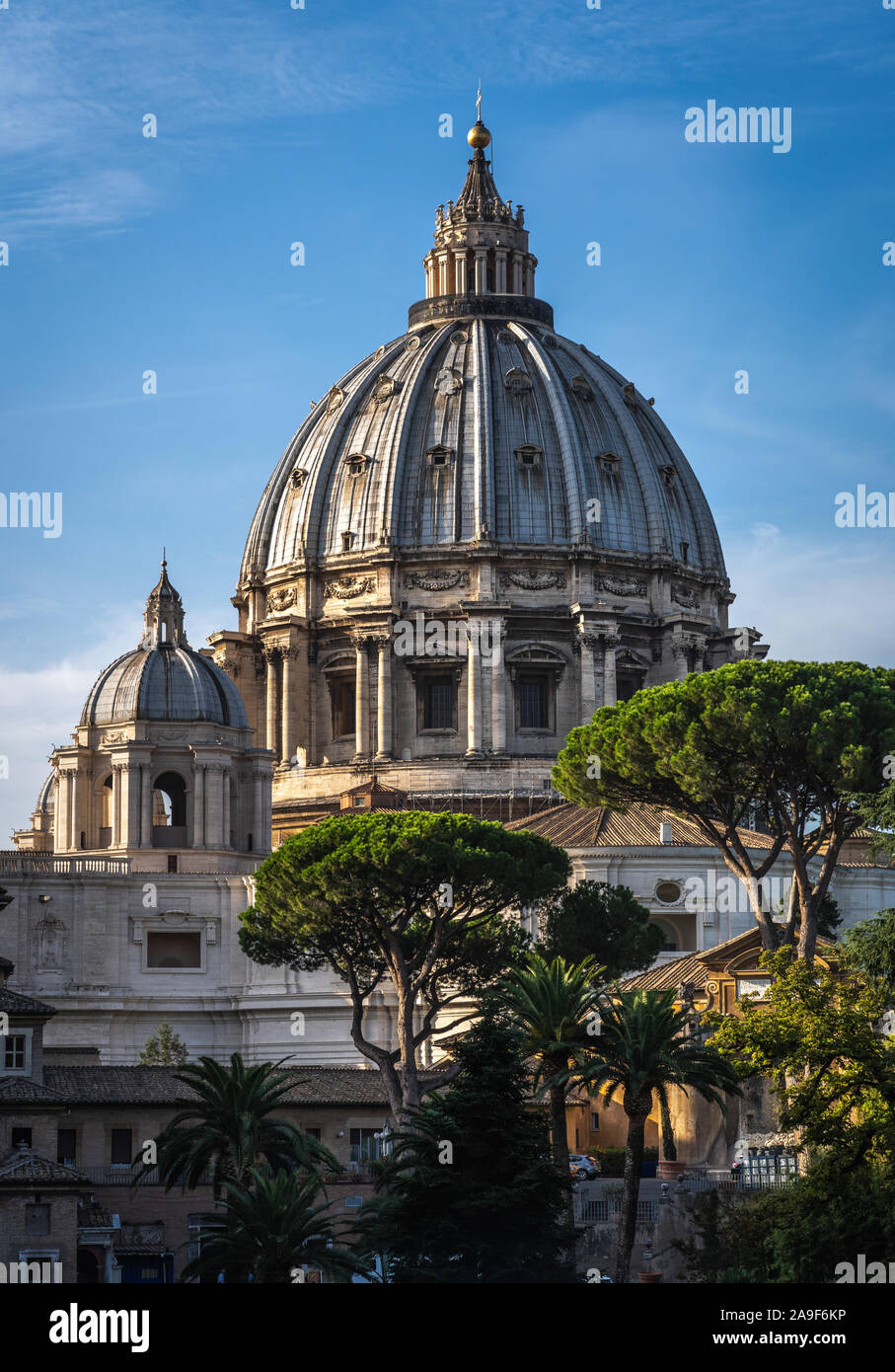 Kuppel des Petersdoms bei sonnigem Wetter. Grüne Bäume, blauer Himmel und Sain Peter Basilika im Vatikan. Stockfoto
