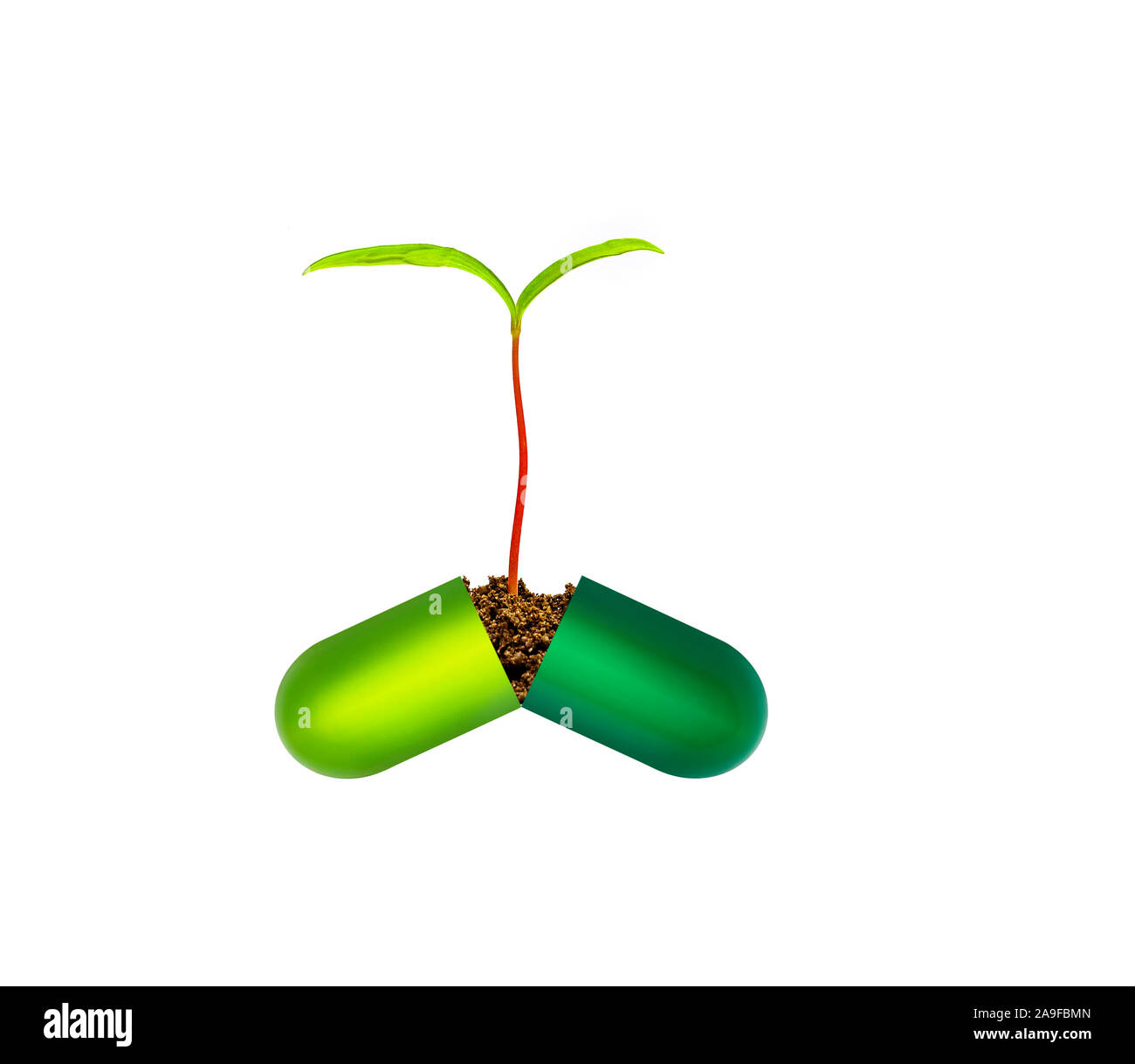 Baum Sicher Gemacht Stockfotos Und Bilder Kaufen Alamy