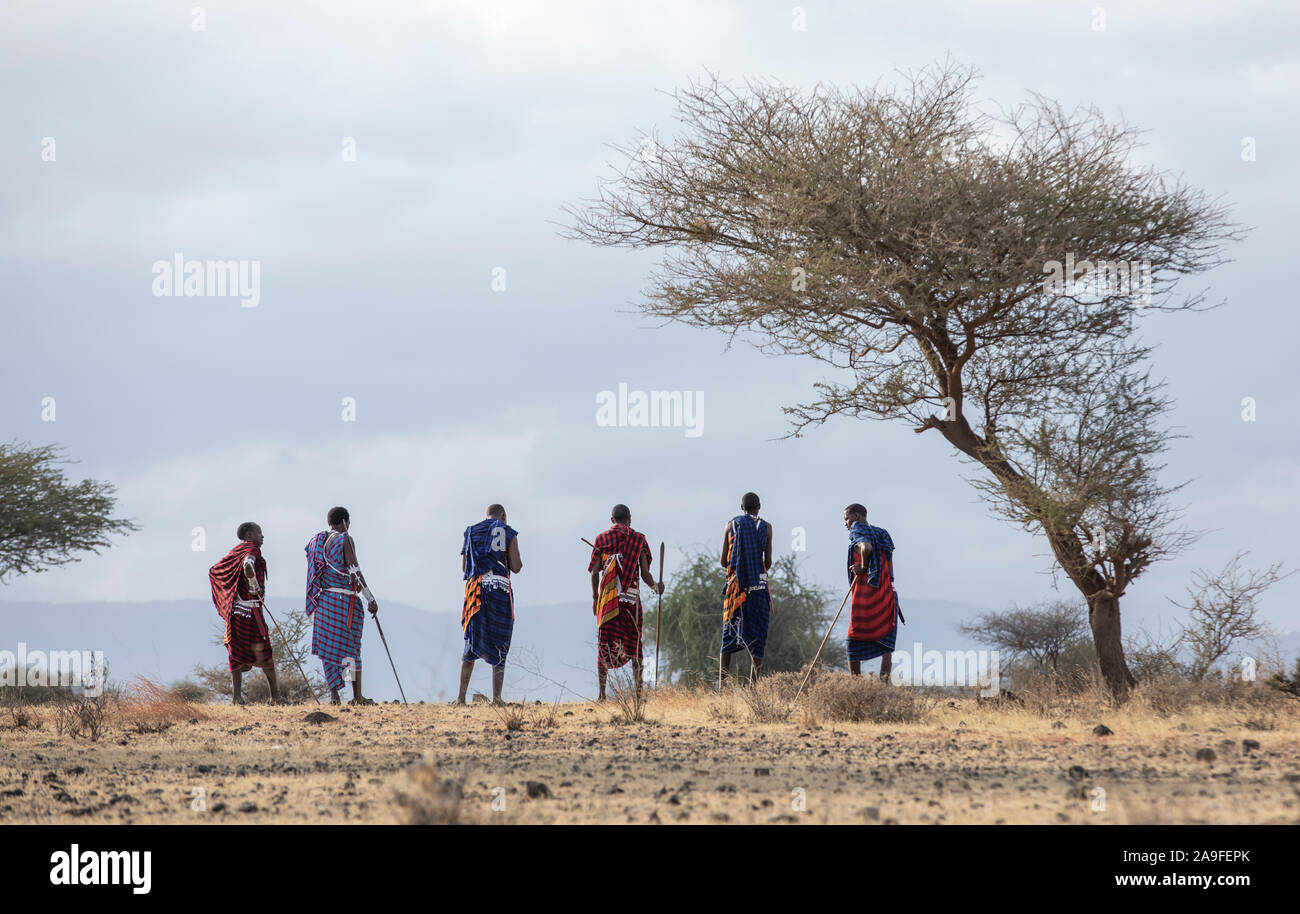 Arusha, Tansania, 7. September 2019: Masai Krieger zu Fuß in einer Savanne Stockfoto