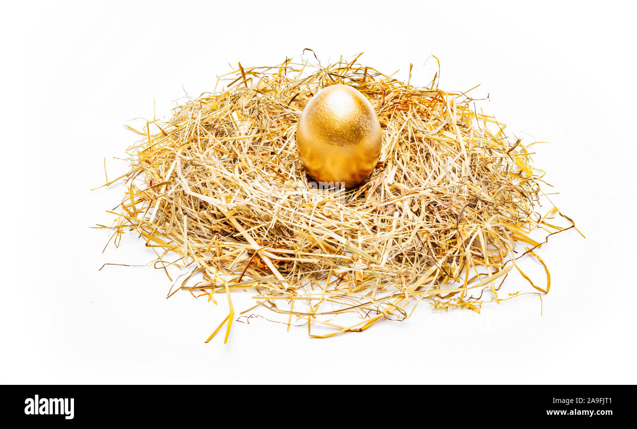 Goldene Ei im Nest Stockfoto