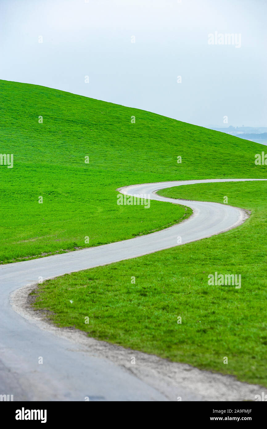 Kurvenreiche Landstraße durch Wiesen Stockfoto