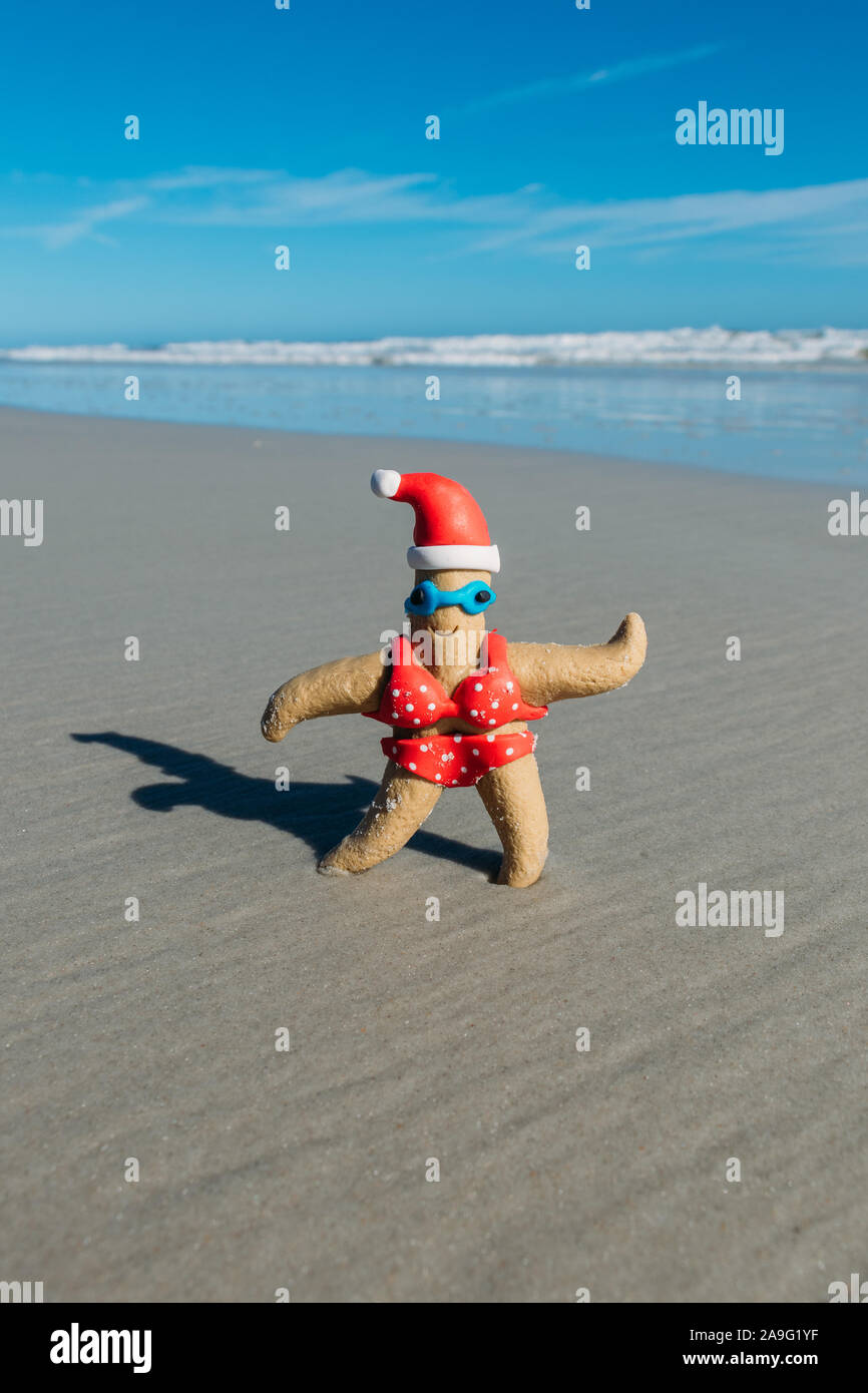 Thema Weihnachten in Florida. Christmas Craft Seesterne auf dem Sand Neue Smynra Beach, Florida dekoriert. Stockfoto