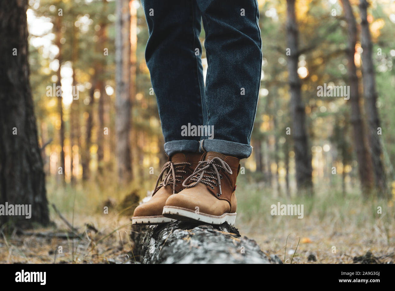 Person in Stiefel und Jeans auf Stamm, Platz für Text Stockfoto