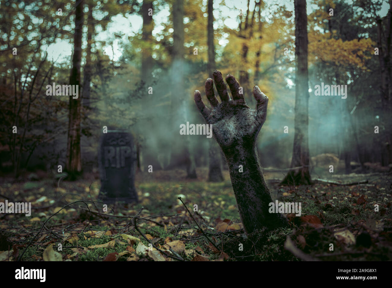 Eine Hand und Arm aus dem schmutzigen Boden mit einem Grabstein in der Hintergrund, den nebligen Wäldern Lage gibt eine gespenstische Atmosphäre im 'Zombie' Stil Stockfoto
