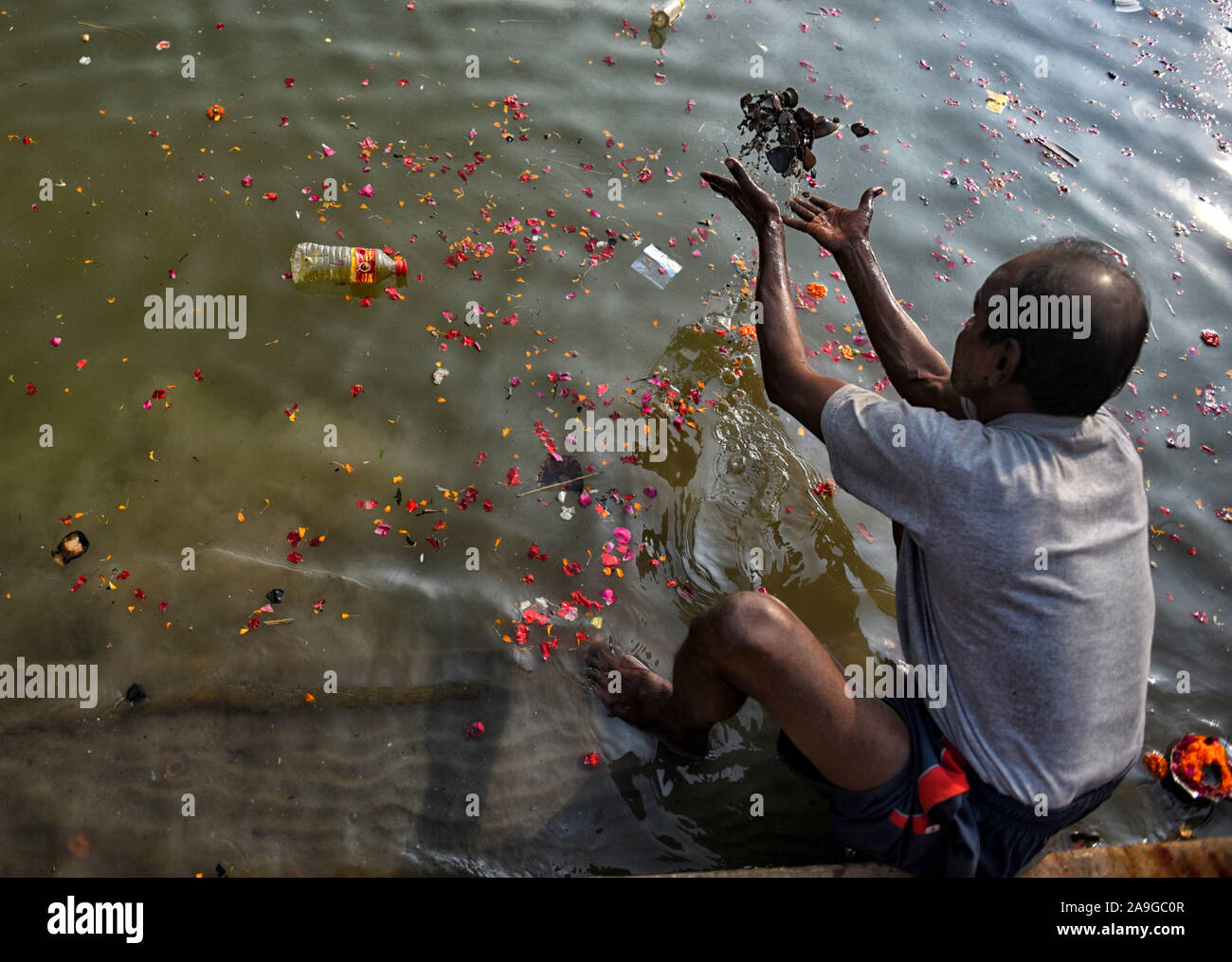 Varanasi, Indien. 13 Nov, 2019. Ein Anhänger wirft Müll in Ganga Fluss. Flusses Ganga ist krank in Varanasi. Entlang der Ghats von Varanasi, Ganga Wasser verschmutzt ist, in denen über 95 % der Verschmutzung durch Abwässer in den Fluss fließt verursacht wird. Credit: SOPA Images Limited/Alamy leben Nachrichten Stockfoto