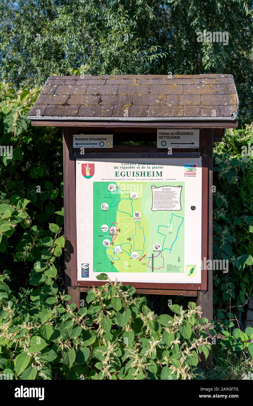 Touristische Hinweisschilder und Karte in Eguisheim Elsass Frankreich Stockfoto