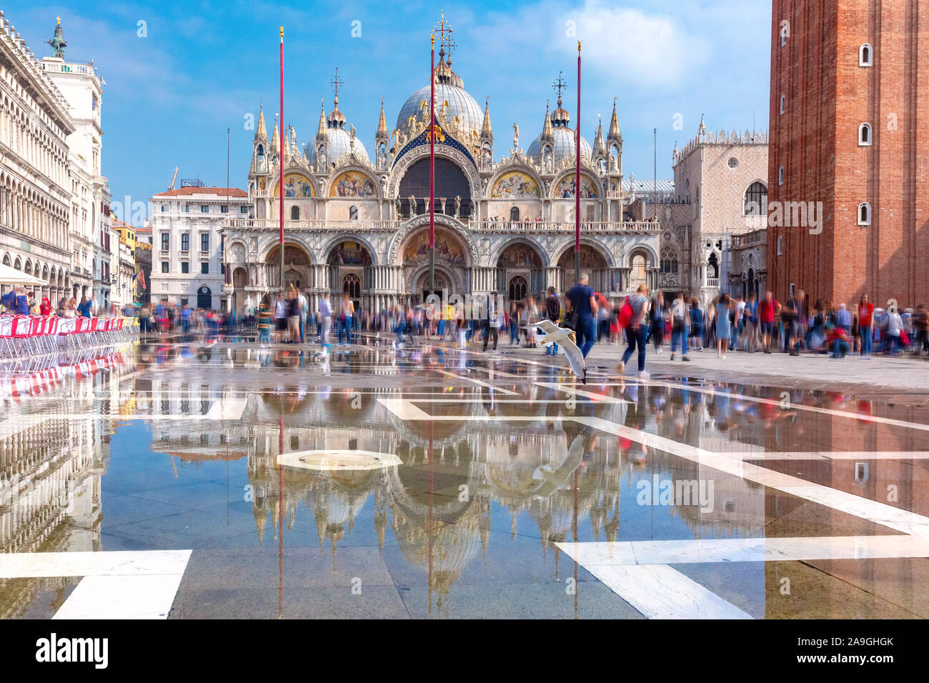 Dom der Basilika von Saint Mark und der Piazza San Marco, dem Markusplatz, überflutet von Hochwasser während der acqua alta Was bedeutet hohe Wasser, Venedig, Italien Stockfoto