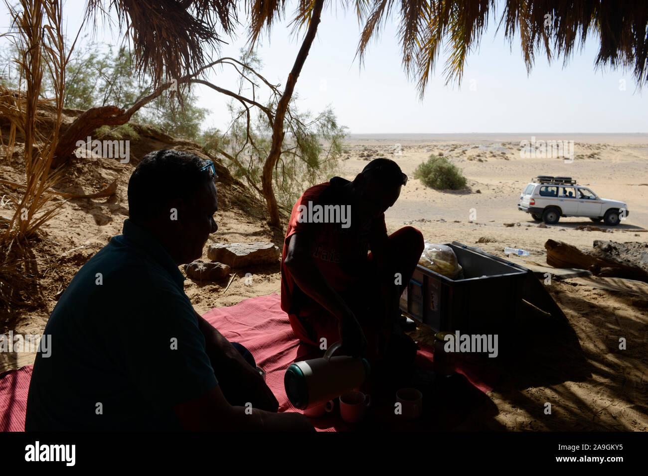 Ägypten, Farafra, Nationalpark Weiße Wüste, die von Wind und Sand Erosion geformt, Picknick in kleinen Oase/AEGYPTEN, Farafra, Nationalpark Weisse Wueste, durch Wind und Sand geformte Landschaft, Picknick in kleiner Oase Stockfoto