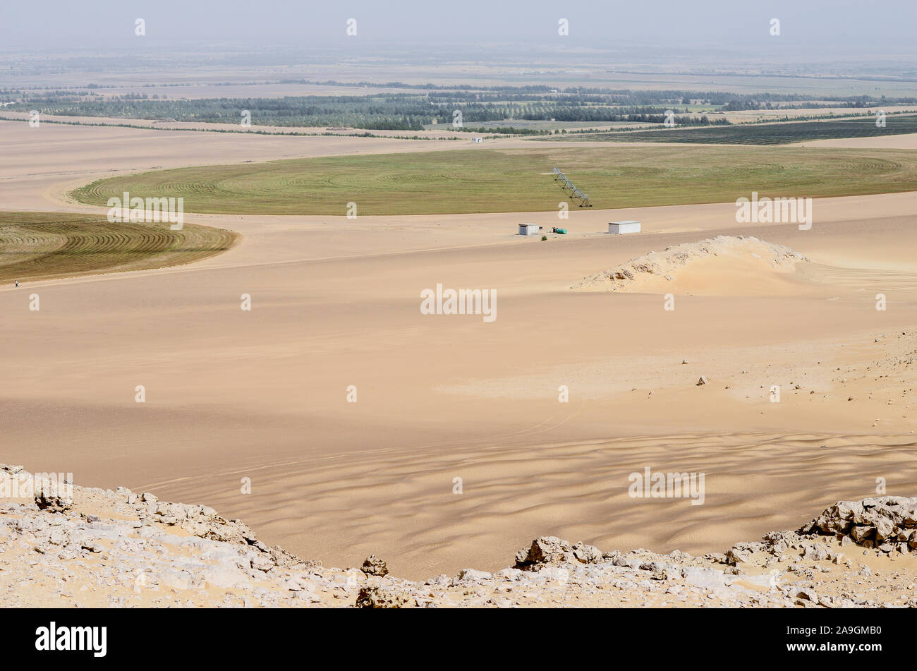 Ägypten, Bahariyya Oase, Wüste Landwirtschaft, Kamille Felder des Unternehmens royal Kräuter, die runden Felder bewässert werden von Pivot Kreis Bewässerung, die fossile Grundwasser aus dem Nubischen Sandstein Aquifer aus 800 Meter tiefen Brunnen gepumpt wird/AEGYPTEN, Oase Bahariya, Landwirtschaft in der Wueste, Pivot Kreisbewaesserung Emy des Feldes, Hintergrund Sekem-farm Stockfoto