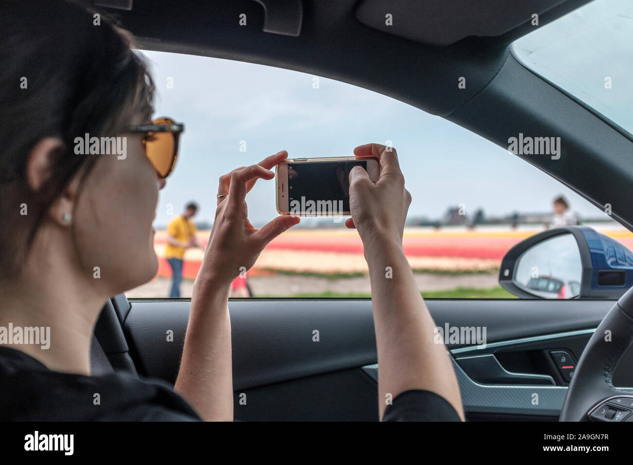 Frau Aufnehmen von Bildern auf Ihrem Handy der Tulpenfelder, Keukenhof, Niederlande Stockfoto