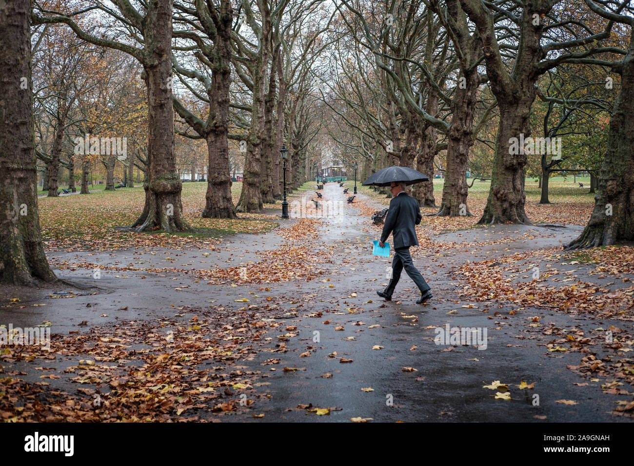 Mann mit Regenschirm in St. James's Park auf awet November Tag, London, England Stockfoto
