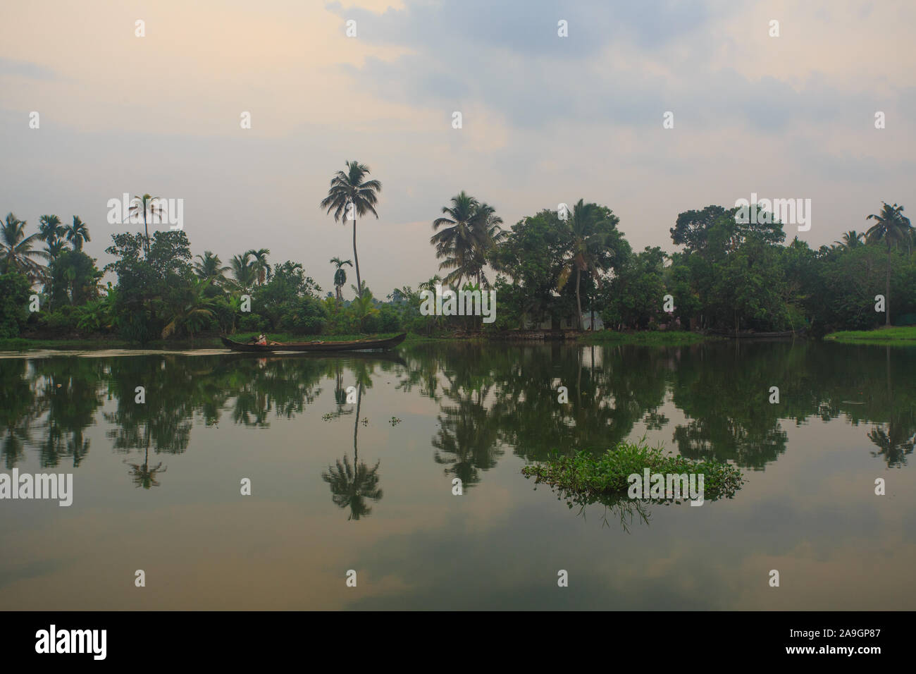 Schöne Landschaft von Alleppey Rückstau (Kerala) Stockfoto
