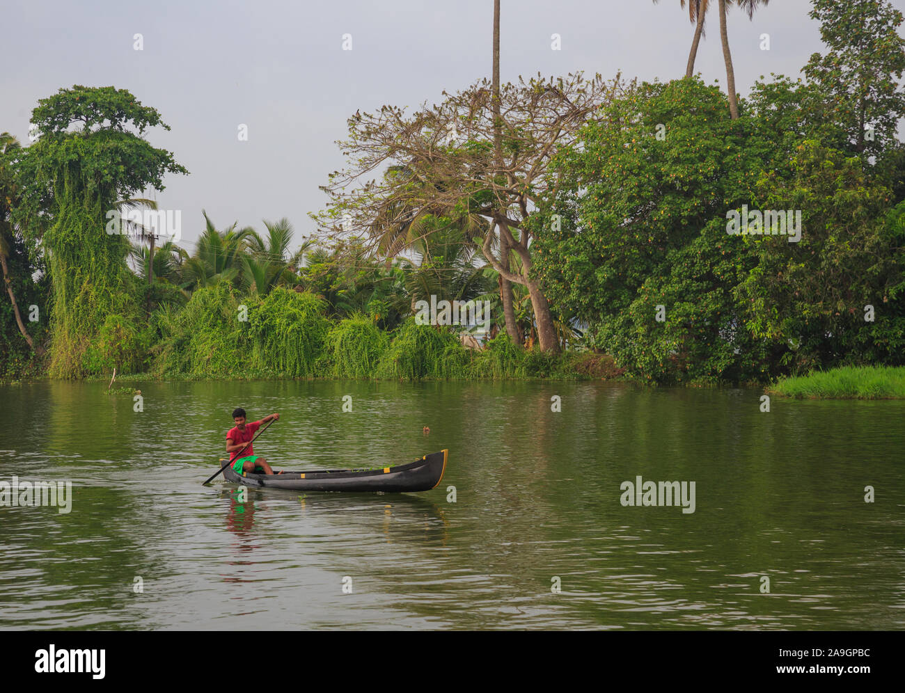 Eine Person Reiten Kanu Holz in die backwaters von Trivandrum, Kerala Stockfoto