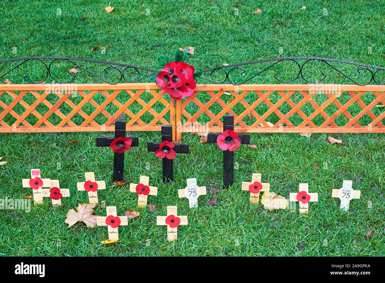 Poppy Garten im Park am Revier der Kathedrale von Winchester, England. Stockfoto