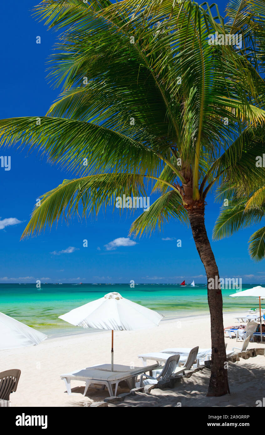 Boracay, Phillippinen, Insel, Strand, Palmen, Stockfoto