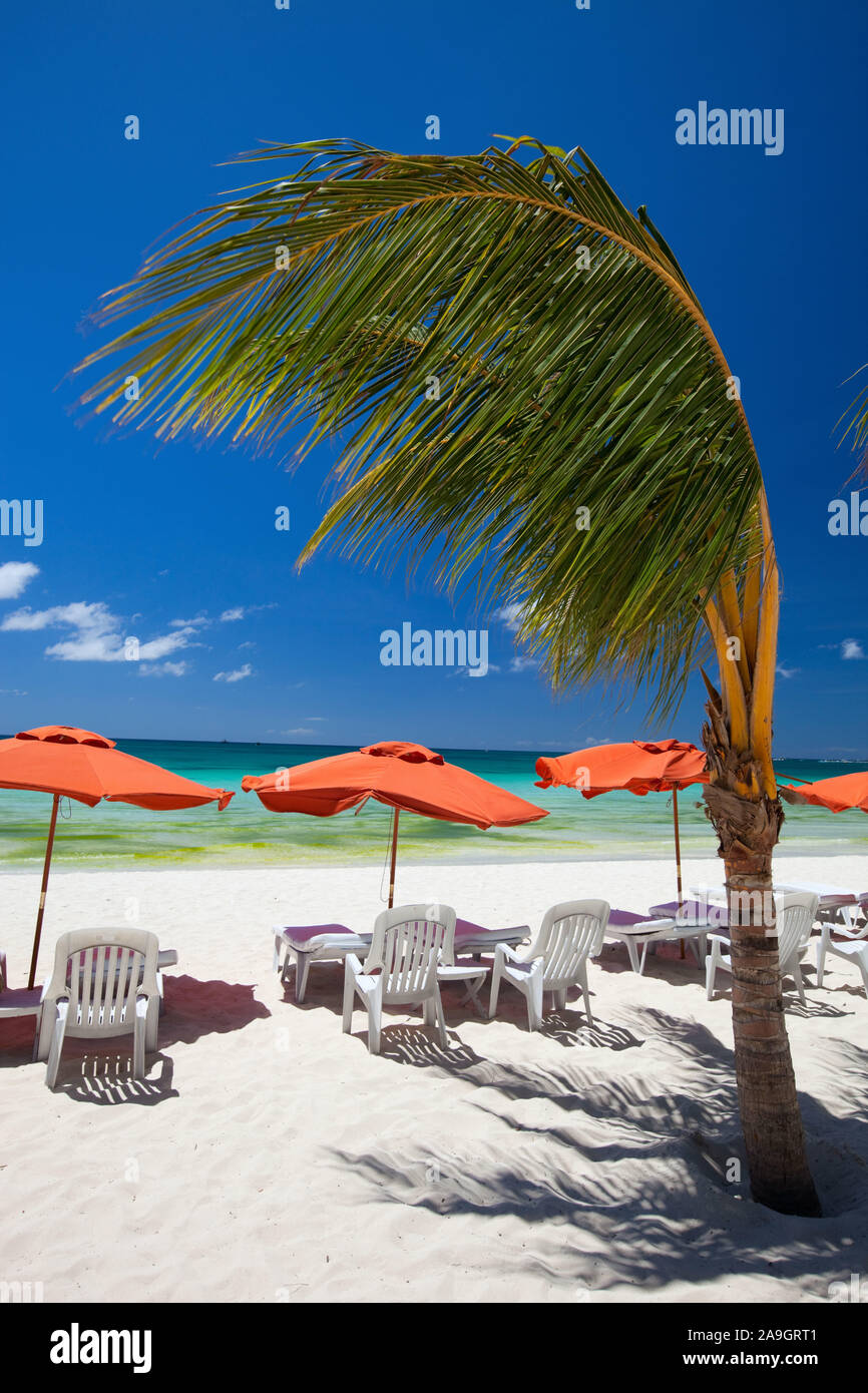 Boracay, Phillippinen, Insel, Strand, Palmen, Stockfoto