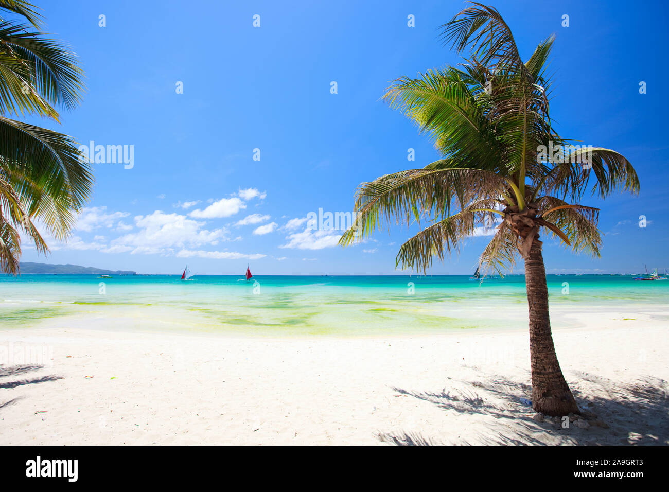 Boracay, Phillippinen, Insel, Strand, Palmen, Stockfoto